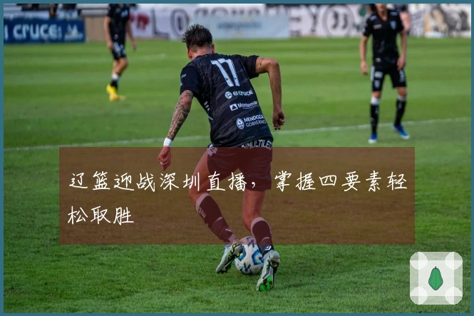 辽篮迎战深圳直播，掌握四要素轻松取胜