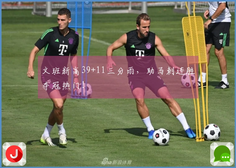文班新高39+11三分雨，助马刺连胜夺冠热门！