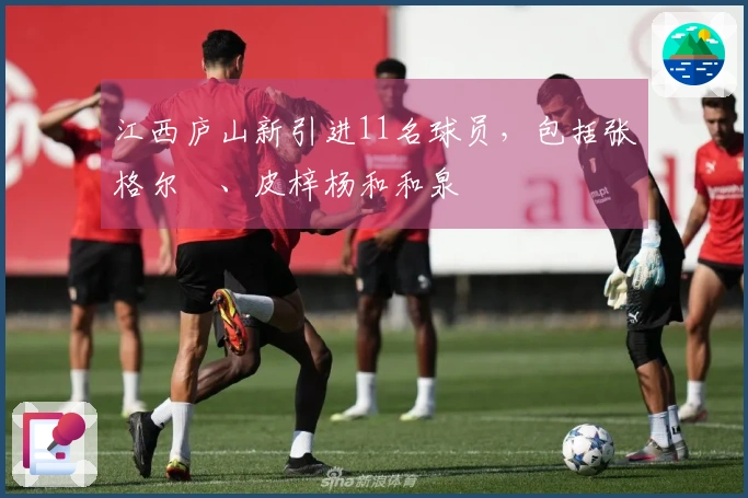 江西庐山新引进11名球员，包括张格尔燚、皮梓杨和和泉